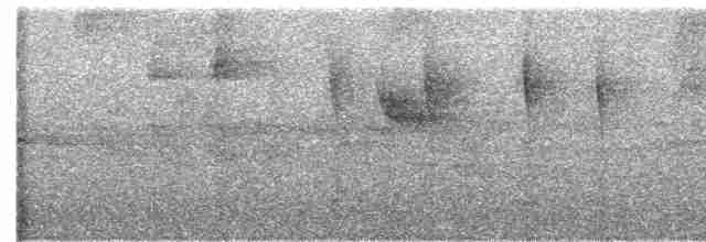 Rotmantel-Ameisenwächter - ML613020517