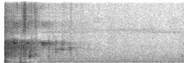 Тиранчик-чубань західний - ML613020528