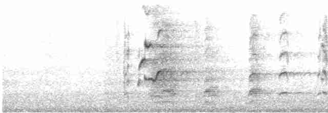 彩虹吸蜜鸚鵡 - ML613020918