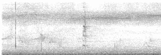 Marouette fuligineuse - ML613020953