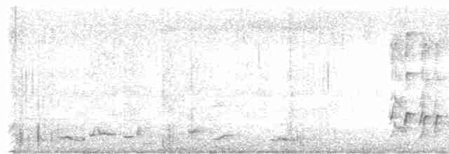Gray Butcherbird - ML613021301