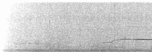 Средний кроншнеп - ML613021696