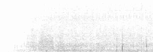 Средний кроншнеп - ML613021736