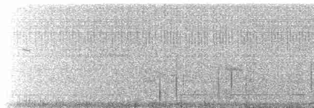 Средний кроншнеп - ML613021772