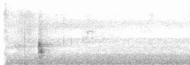 Широкорот східний - ML613021952