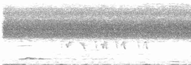 Карликовая кукушка [группа minutillus] - ML613022153