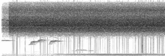 Gray Whistler (Brown) - ML613022161