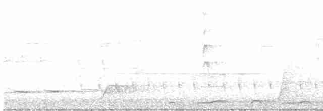 holoubek bronzovohřbetý - ML613022221