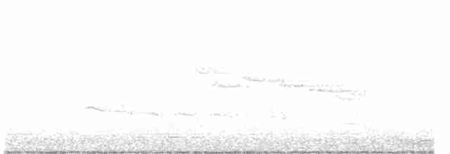 Карликовая кукушка - ML613022222