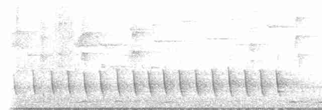 Медолюб великий - ML613022232