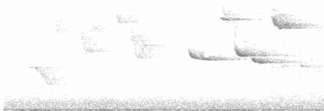 skarlagenhonningeter - ML613022234