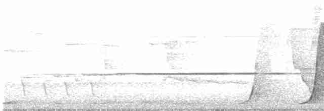 Psophode à tête noire - ML613022237
