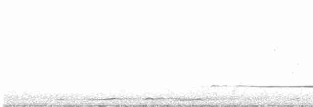 Батіжник чорночубий - ML613022238