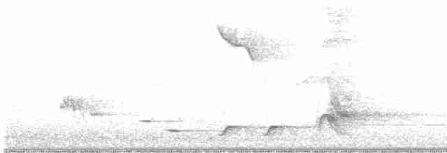 Siffleur gris - ML613022242