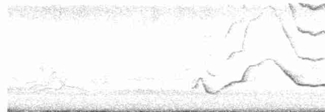 Rufipenne de Tristram - ML613022599