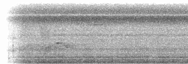 Борнейская воронья кукушка - ML613022673