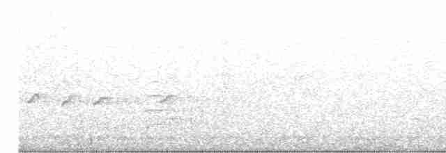 Sarı Kuyruklu Kakadu - ML613022989
