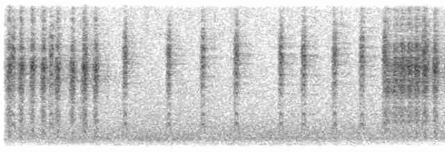 Кобилочка плямиста - ML613023423