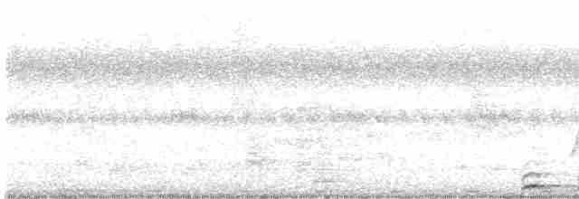 Коукал смугастохвостий - ML613023612