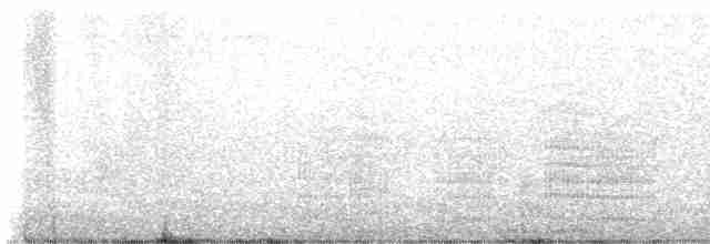 Aigrette neigeuse - ML613026092