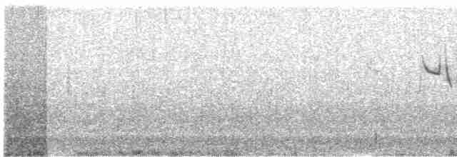 Свинцово-серый овсяночник - ML613026324