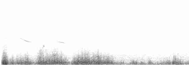Grassland Sparrow - ML613026612