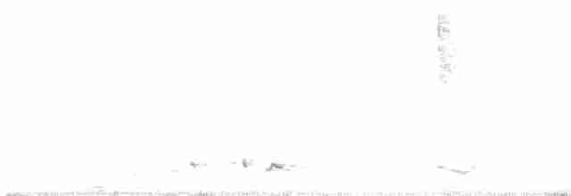 Black-tailed Whistler - ML613026998