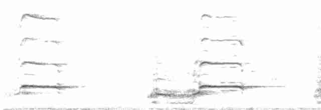 Дальневосточный кроншнеп - ML613027024