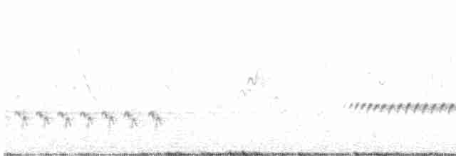 Rufous Songlark - ML613027856