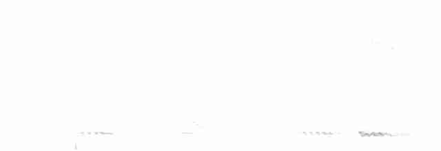 White-cheeked Barbet - ML613028025