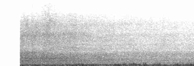 Горіхівка крапчаста - ML613028304