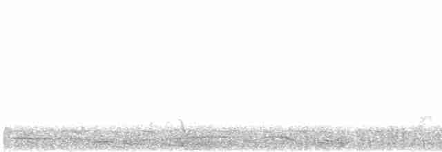 Kama Kuyruklu Yeşil Güvercin - ML613029664