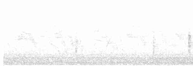 Eastern Olivaceous Warbler - ML613030245