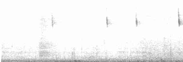 Юнко сірий (підвид caniceps) - ML613030393