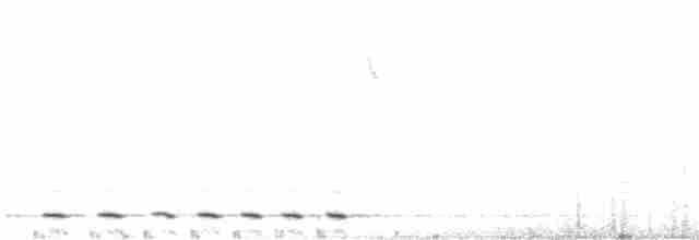 Юнко сірий (підвид caniceps) - ML613030468