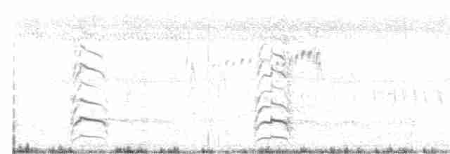 Large-billed Tern - ML613032877