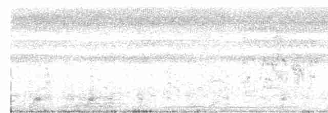 Snowy Egret - ML613033154