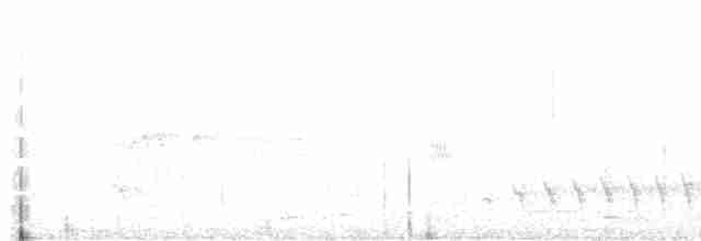 Large-billed Antwren - ML613034229