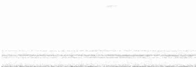 Short-tailed Antthrush - ML613034263