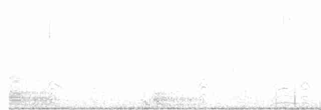 Weißbauch-Nachtschwalbe - ML613034814