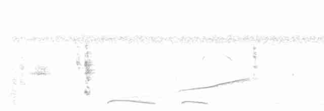 Горличка-інка мексиканська - ML613035092