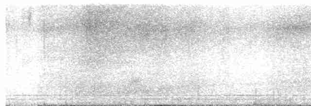 Пепельногорлый миарх - ML613035521