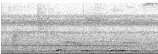 holub šedorůžový - ML613036296