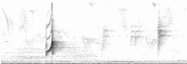 Дрізд чорнодзьобий - ML613036308