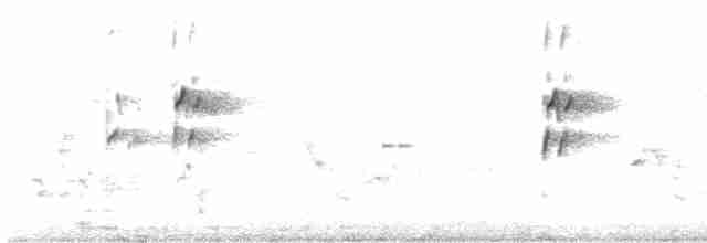 Pied Kingfisher - ML613037227