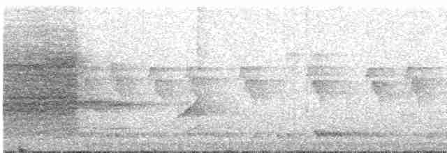Blyth's Reed Warbler - ML613038061