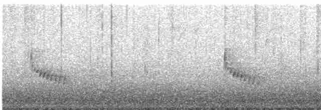 Поплітник каролінський - ML613038115
