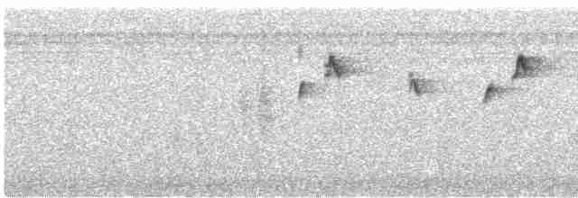 Пембская нектарница - ML613039571