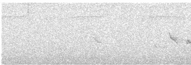 Окулярник пембейський - ML613039986