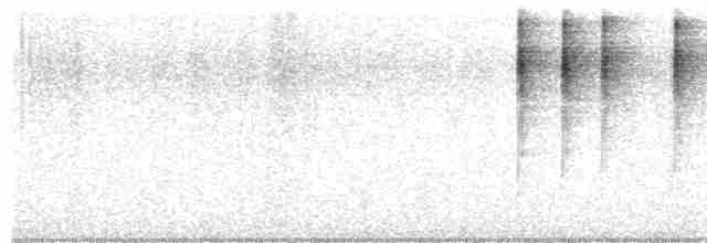 Paruline noir et blanc - ML613042609